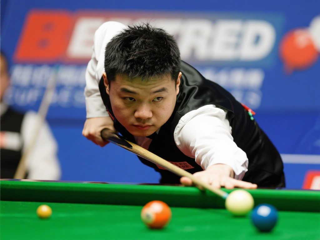 毛球队的一 毛球队的一