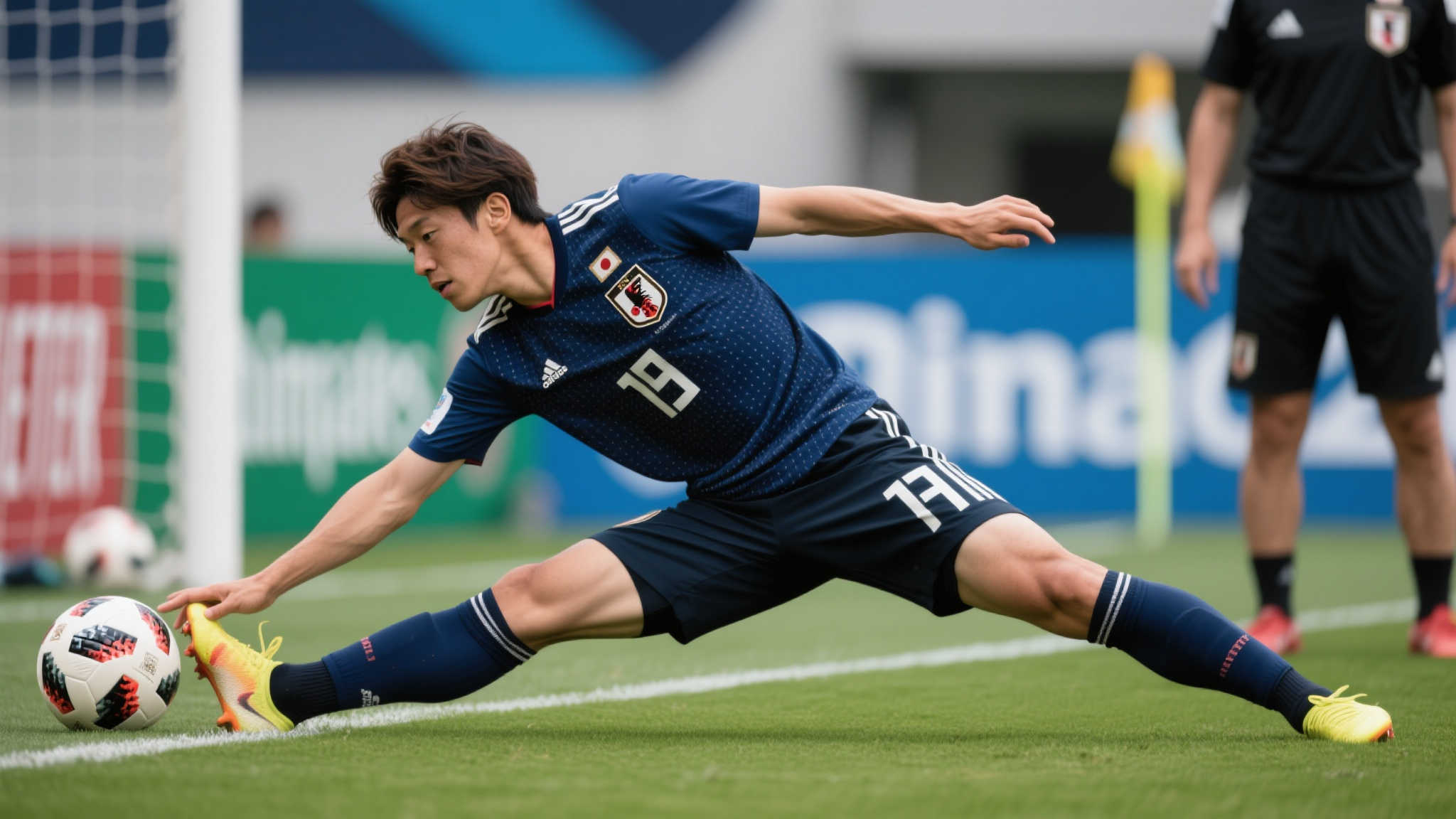 以他为模板 以他为模板