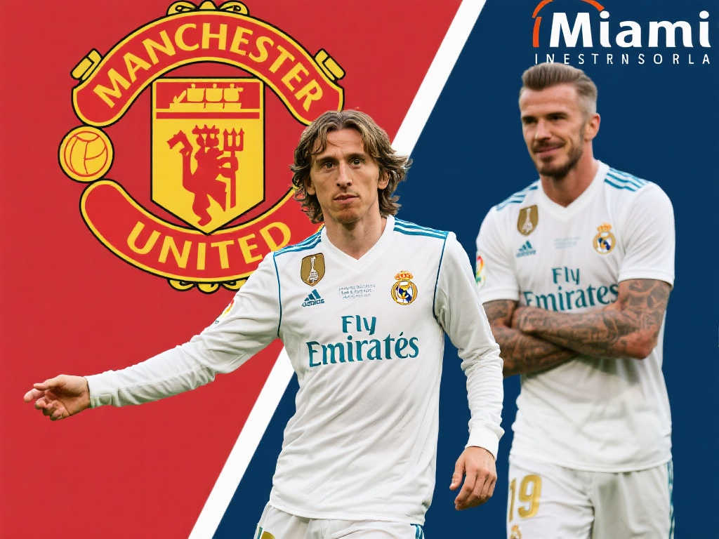 了财务危机 了财务危机